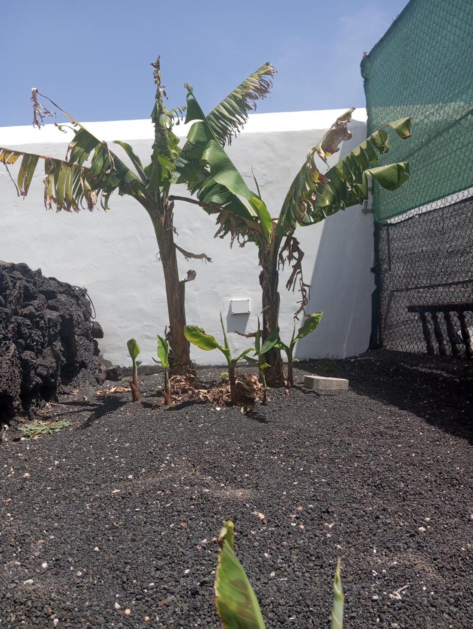 Villa Casa Siempreviva Teguise  Esterno foto